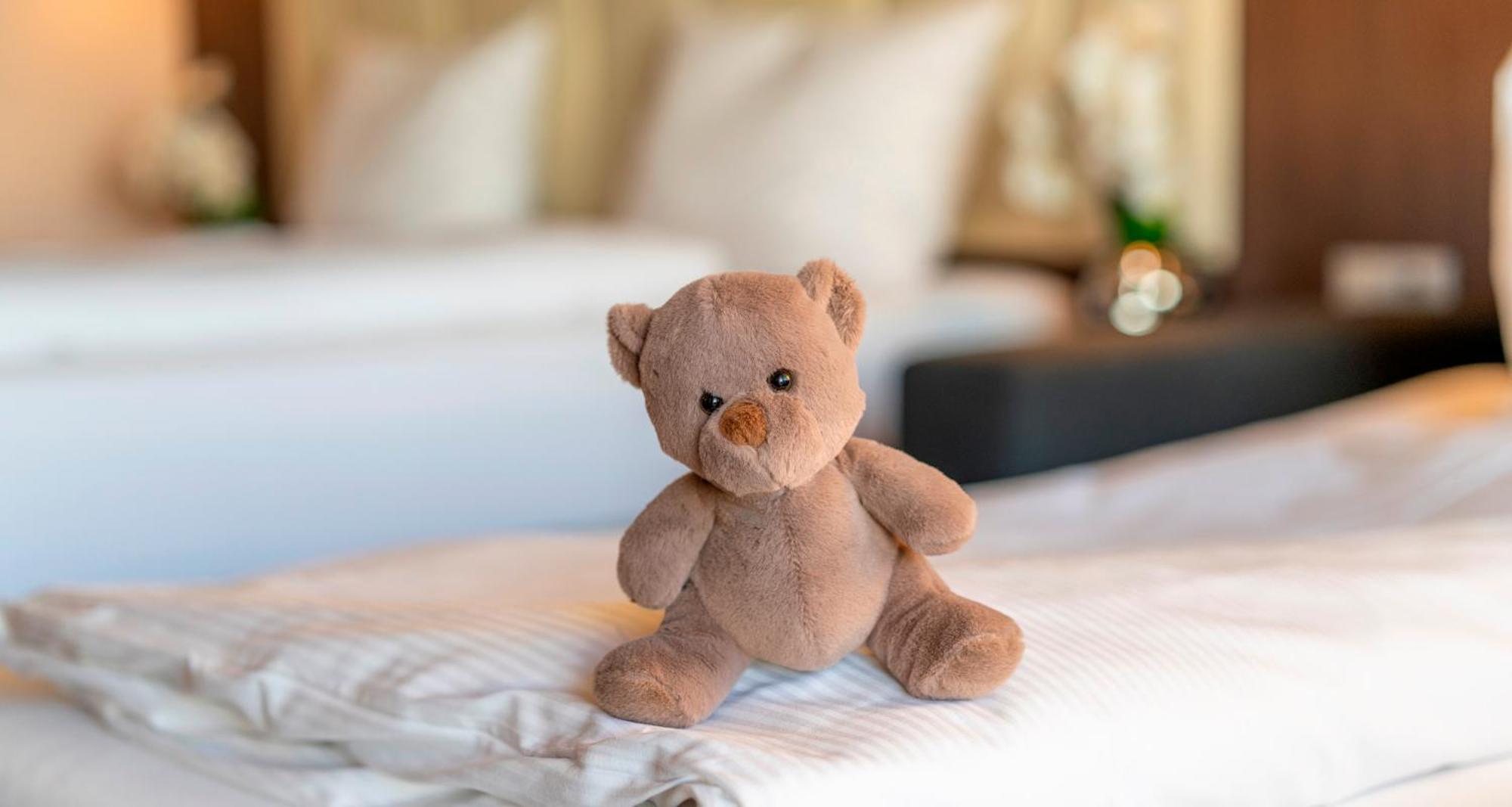 Plaza Hotel Foehr Am Bodensee Фрідріхсгафен Номер фото